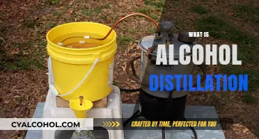 Understanding Alcohol Distillation: Process, Techniques, and Craftsmanship Explained
