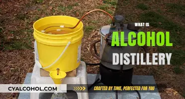 Understanding the Art and Science of Alcohol Distillation Process