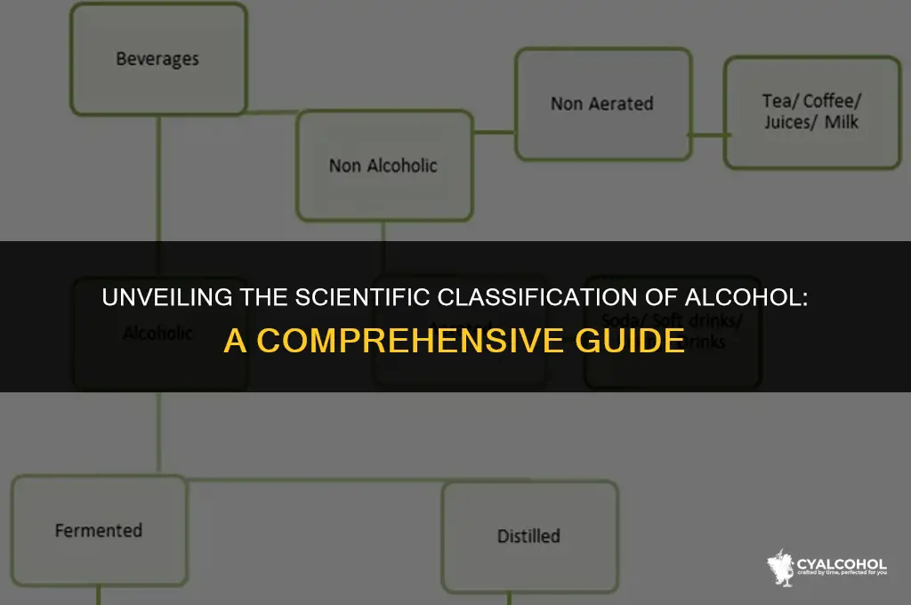 what is alcohol formally classified as