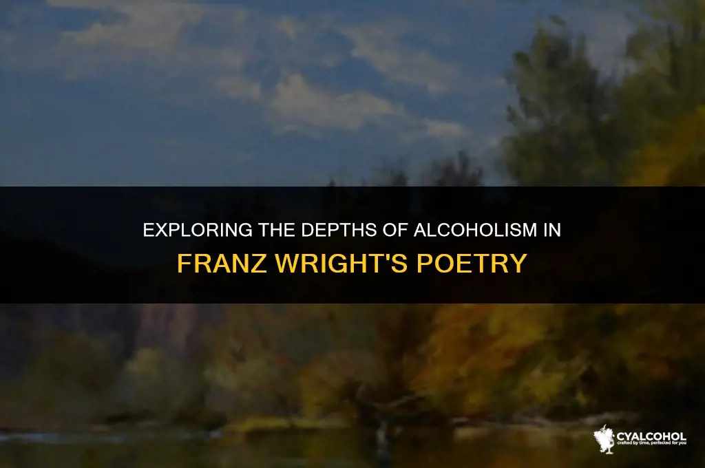 what is alcohol franz wright about