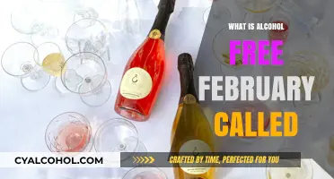 Exploring Sobriety: What Is Alcohol-Free February Called?