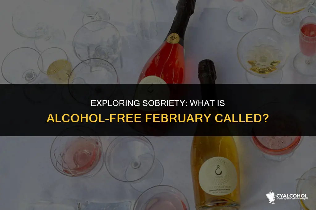 what is alcohol free february called