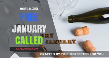 Exploring Sobriety: What Is Alcohol-Free January Called?