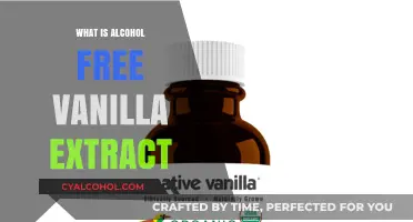 Exploring the Essence: What Is Alcohol-Free Vanilla Extract?