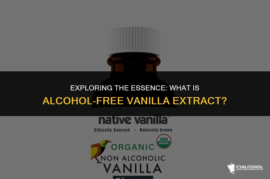 what is alcohol free vanilla extract