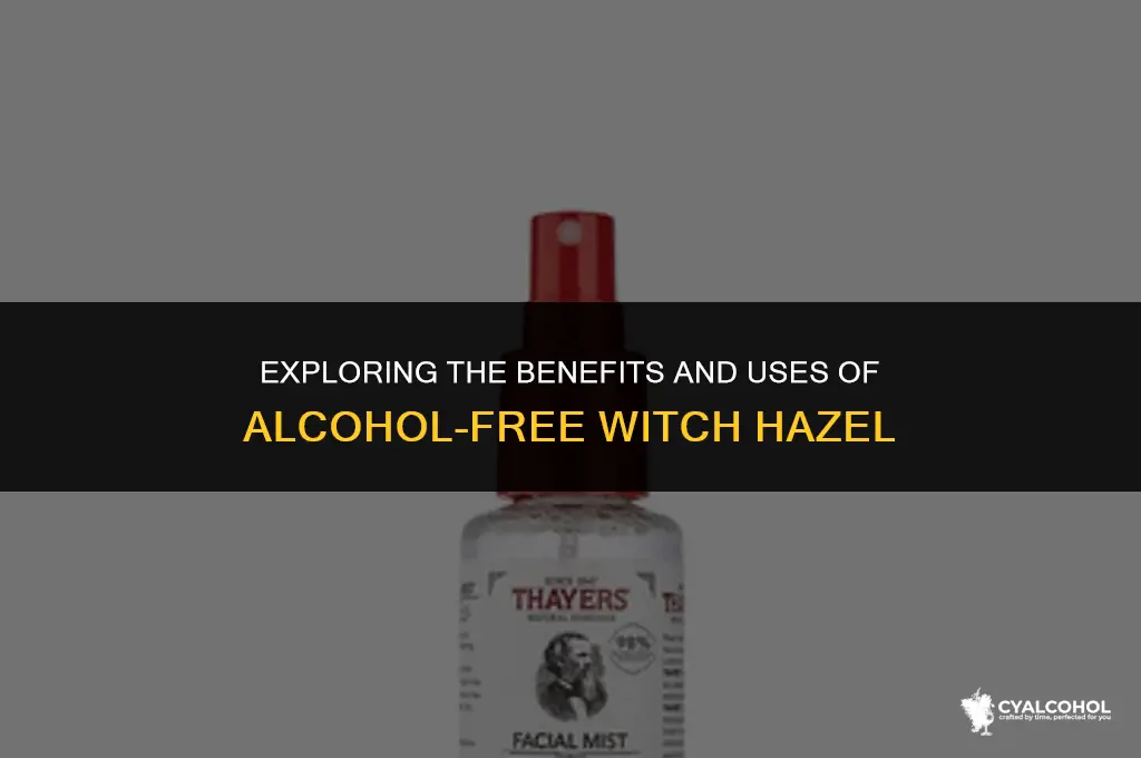 what is alcohol free witch hazel