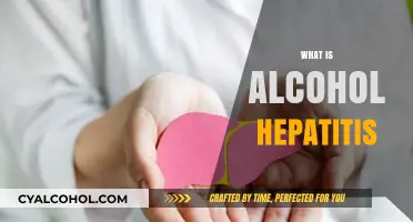 Understanding Alcoholic Hepatitis: Causes, Symptoms, and Treatment Options