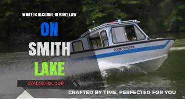 Smith Lake Boating: Alcohol Laws and You