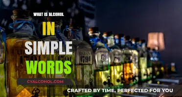 Understanding Alcohol: A Simple Guide to Its Basics