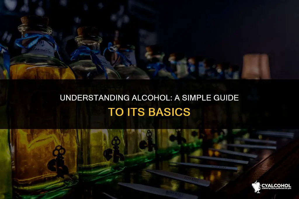 what is alcohol in simple words