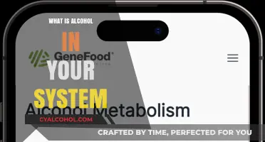 Understanding Alcohol Metabolism: How Long Does It Stay in Your System?