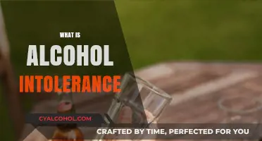 Understanding Alcohol Intolerance: Causes, Symptoms, and Management Tips