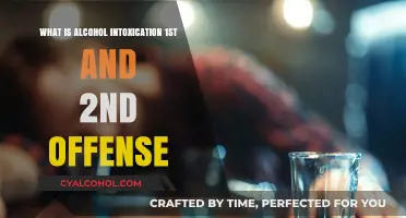 Understanding Alcohol Intoxication: Legal Consequences of 1st and 2nd Offenses