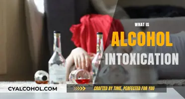 Understanding Alcohol Intoxication: Causes, Symptoms, and Risks Explained