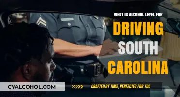 South Carolina DUI Laws: Understanding Legal Alcohol Limits for Drivers