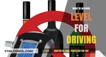 Understanding Legal Blood Alcohol Limits for Safe Driving