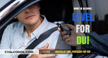 Understanding DUI Alcohol Limits: Legal BAC Levels Explained