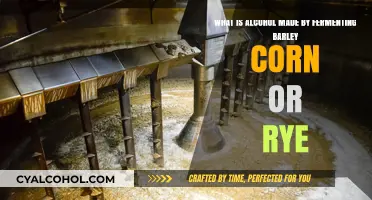 Barley, Corn, and Rye: Alcohol's Fermented Friends