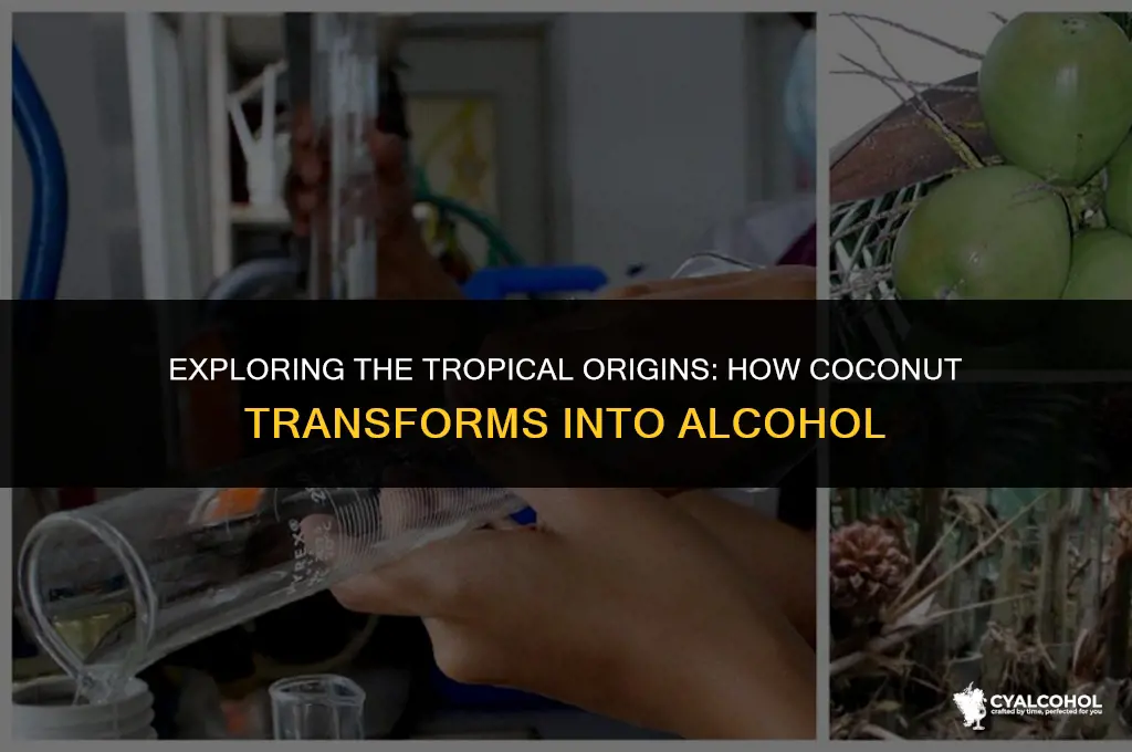 what is alcohol made from coconut