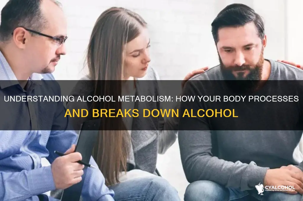 what is alcohol metabolism