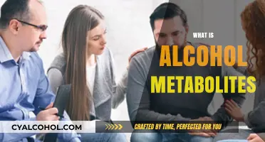 Understanding Alcohol Metabolites: How Your Body Processes Alcohol