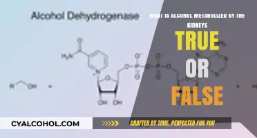 Alcohol and Kidneys: True or False?