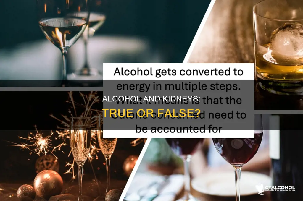 what is alcohol metabolized by the kidneys true or false