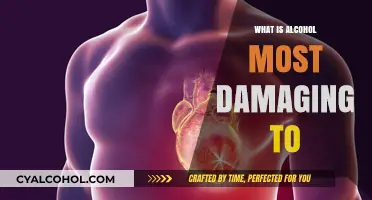 Unveiling the Hidden Dangers: What Alcohol Is Most Damaging To