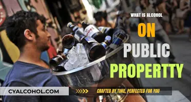 Understanding Alcohol on Public Property: Legal Implications and Social Impact