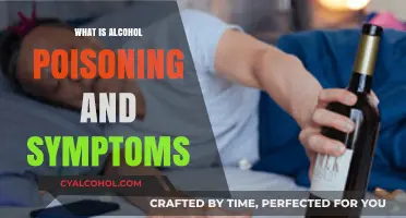 Understanding Alcohol Poisoning: Recognizing the Symptoms and Seeking Help