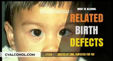 Understanding Alcohol's Impact: Birth Defects and Prevention