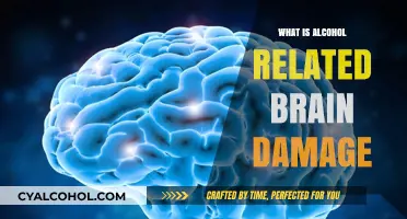 Understanding Alcohol-Related Brain Damage: Causes, Effects, and Recovery
