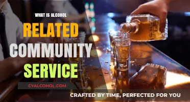 Understanding Alcohol-Related Community Service: A Comprehensive Guide