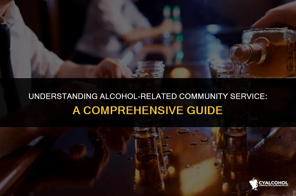 what is alcohol related community service