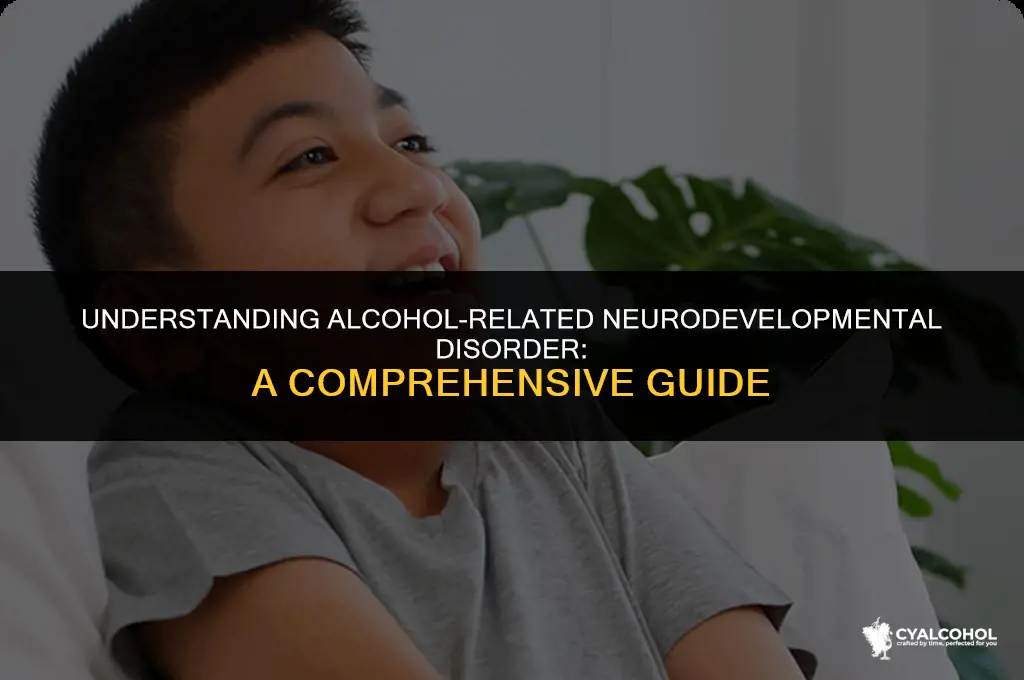 what is alcohol related neurodevelopmental disorder