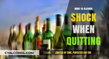 Understanding Alcohol Shock Syndrome During Quitting: A Guide