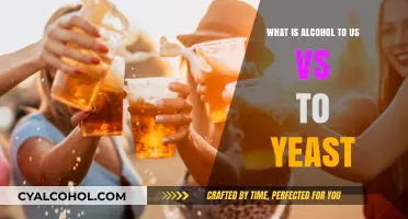 Alcohol: A Human Vice vs. Yeast's Survival Mechanism Explained