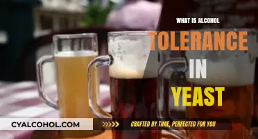 Unlocking the Secrets of Yeast: A Guide to Alcohol Tolerance
