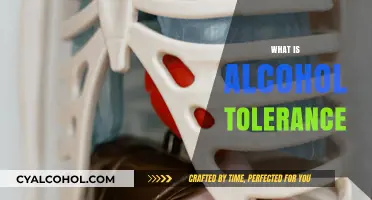 Understanding Alcohol Tolerance: Factors, Effects, and Personal Variations Explained