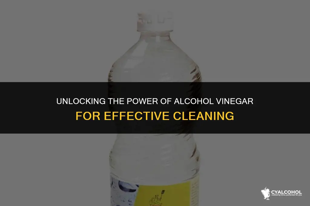 what is alcohol vinegar for cleaning