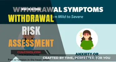 Evaluating Alcohol Withdrawal Risks: A Comprehensive Guide