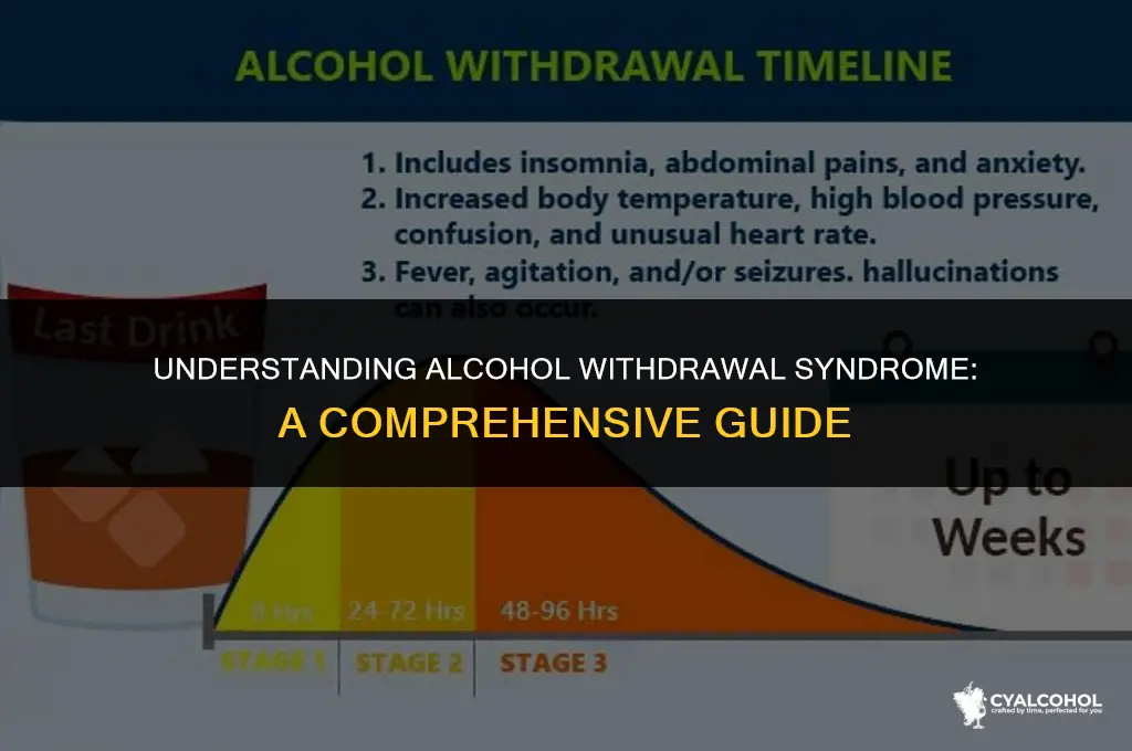 what is alcohol withdrawal syndrome called