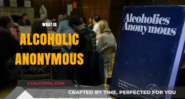 Understanding Alcoholics Anonymous: A Guide to Recovery and Support