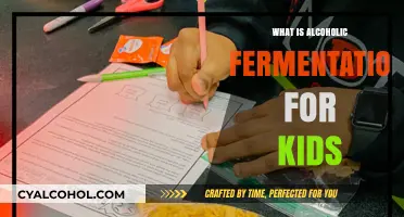 Fun with Fermentation: How Alcoholic Fermentation Works for Kids