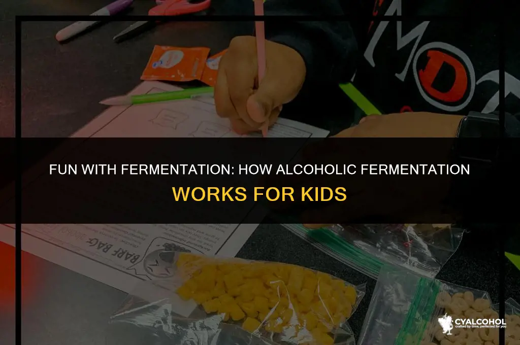 what is alcoholic fermentation for kids