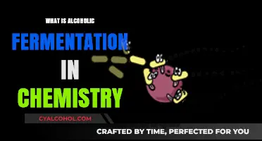 Unveiling the Chemistry Behind Alcoholic Fermentation: A Comprehensive Guide
