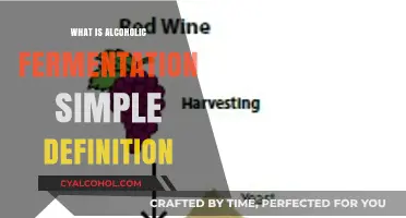 Exploring Alcoholic Fermentation: A Simple Definition and Beyond
