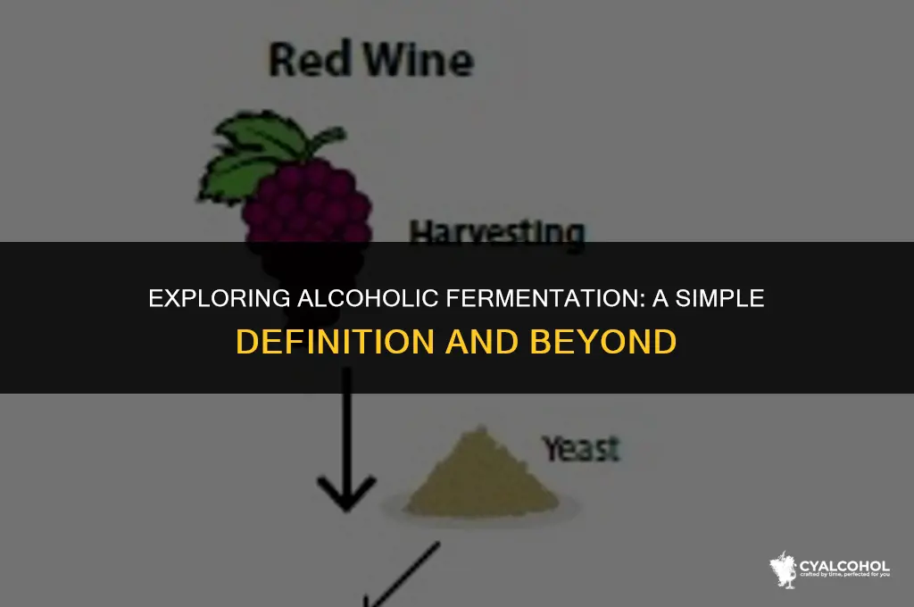 what is alcoholic fermentation simple definition