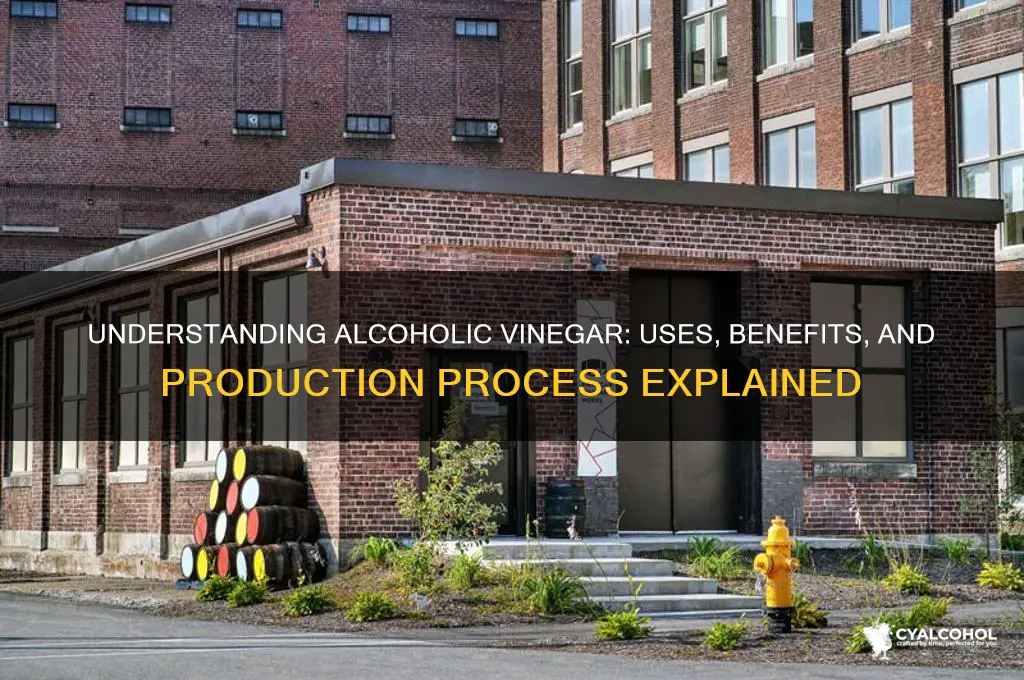what is alcoholic vinegar