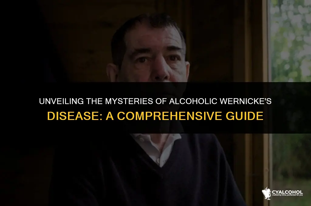 what is alcoholic wernicke